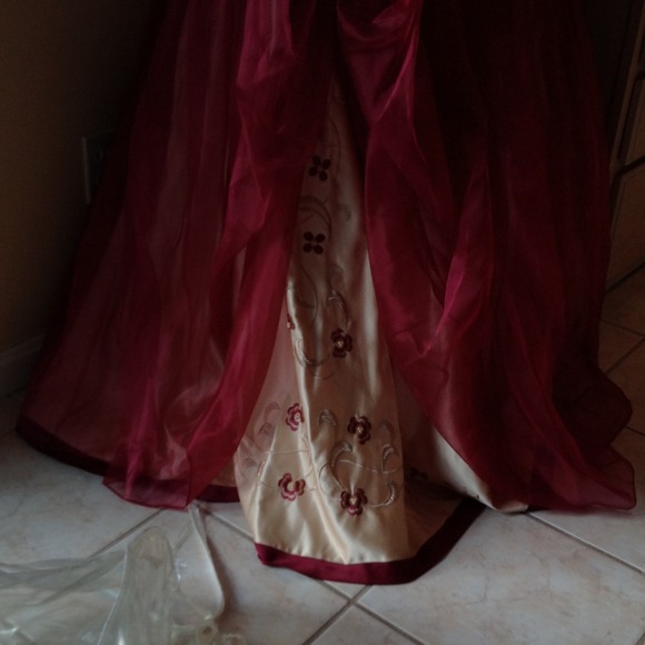 One of a kind Quinceañera gown / prom dress - Picture 4 of 4