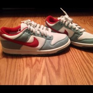 Brand new pair of Nikes.