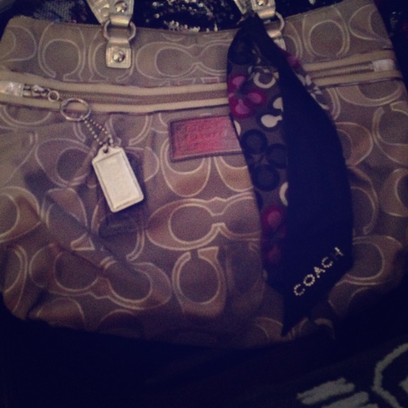 Sliver large coach bag
