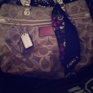 Sliver large coach bag