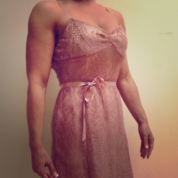 Ann Taylor Petite Dress, Pink & Gold Lace Overlay