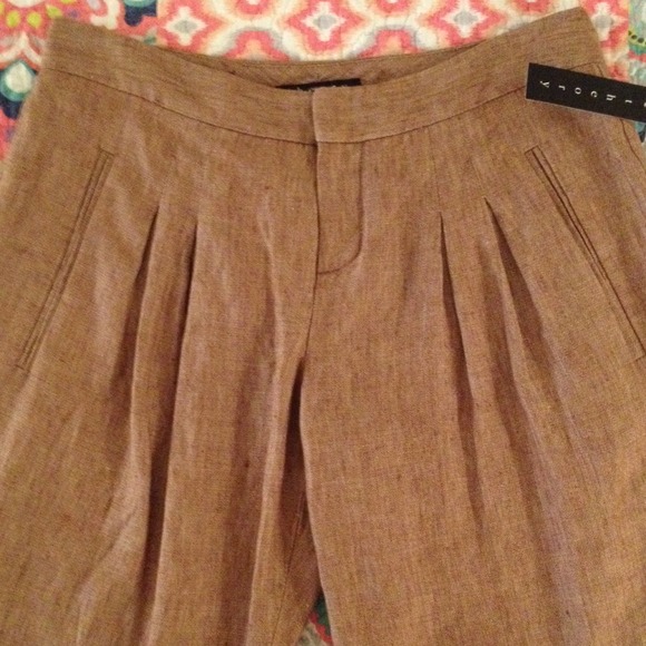 ❌SOLD❌Theory linen pants in rust color
