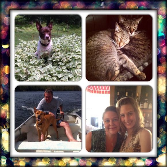 ๐น๐WELCOME!๐๐น - Picture 2 of 3