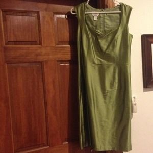 Talbots Size 10 green pure silk dress