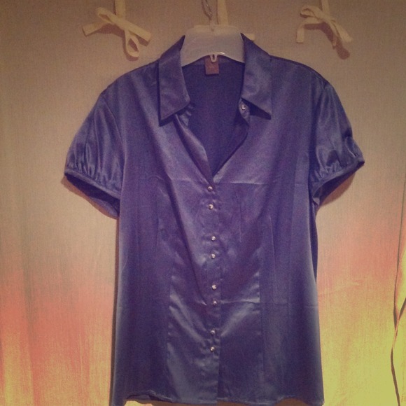 Ann Taylor blue button up silk blouse