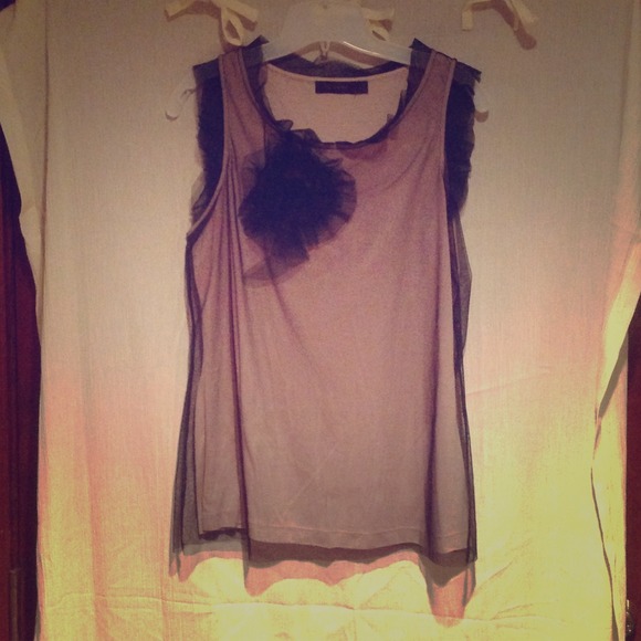 The Limited sleeveless rose colored/black net top