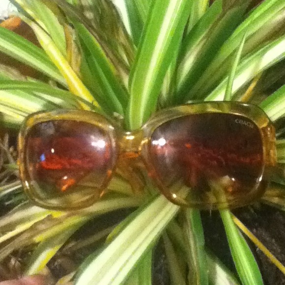Make offer on Coach sunglasses