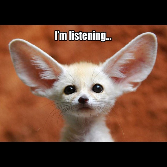 Feedback π - Picture 1 of 1