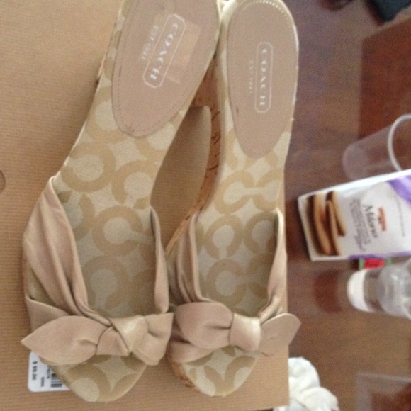 Coach shoes
