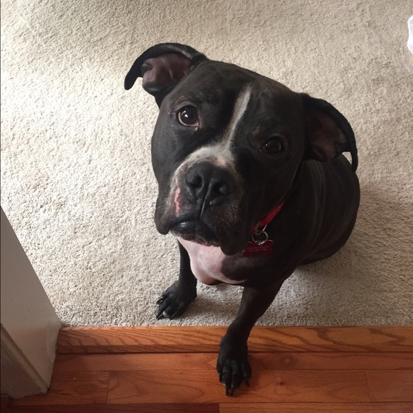 Welcome to my closet!!! 👋✋👋 - Picture 4 of 4