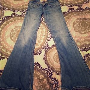 Hollister flare jeans