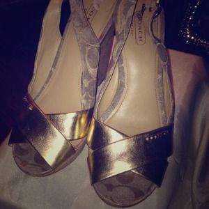 Coach wedges