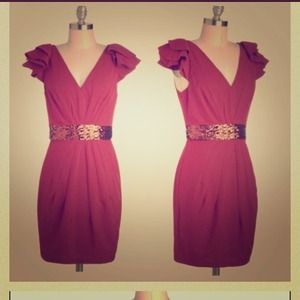 Beautiful dress with sequince detail.