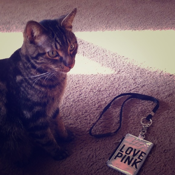 Love Pink id holder