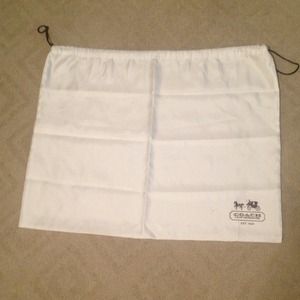 XL Coach Dust Bag