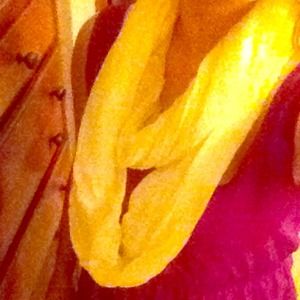 Lightweight Linen Cheery Yellow Infinity Scarf
