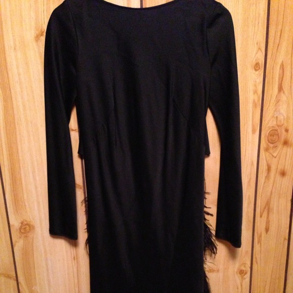 Alberta Ferretti black dress with the feather
