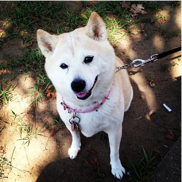 💀 Meet the Seller: Natalie P 💀 - Picture 3 of 4