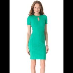 Diane Von Furstenberg Kader in Parakeet Size 0