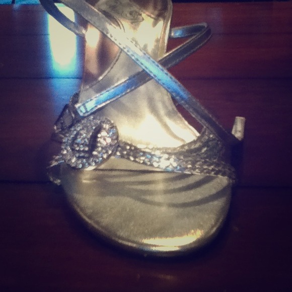 Wild Rose Silver Heels