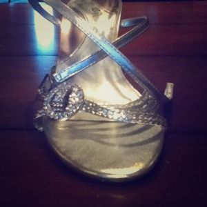 Wild Rose Silver Heels