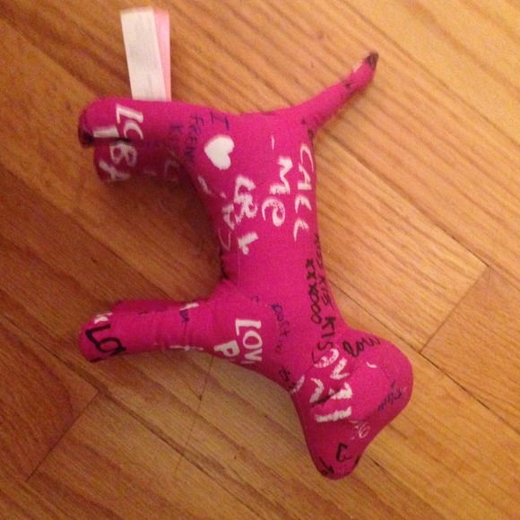 Victoria secret pink puppy