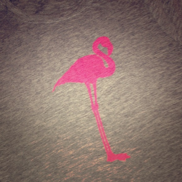 J crew heather grey t shirt with hot pink flamingo