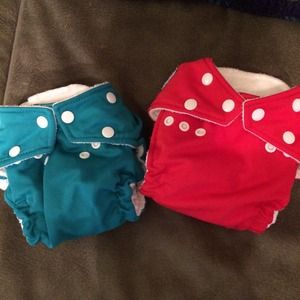 Exc Cond Fuzzibunz - Cloth Diaper Lot