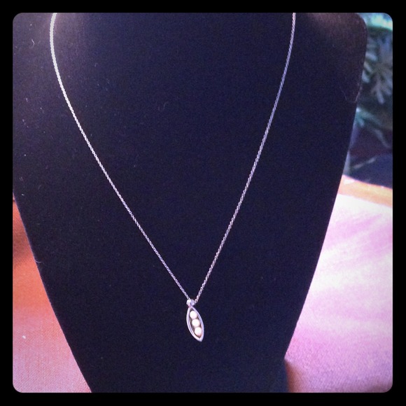 Sterling Silver Necklace