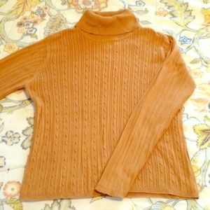 Cotton Turtleneck Sweater