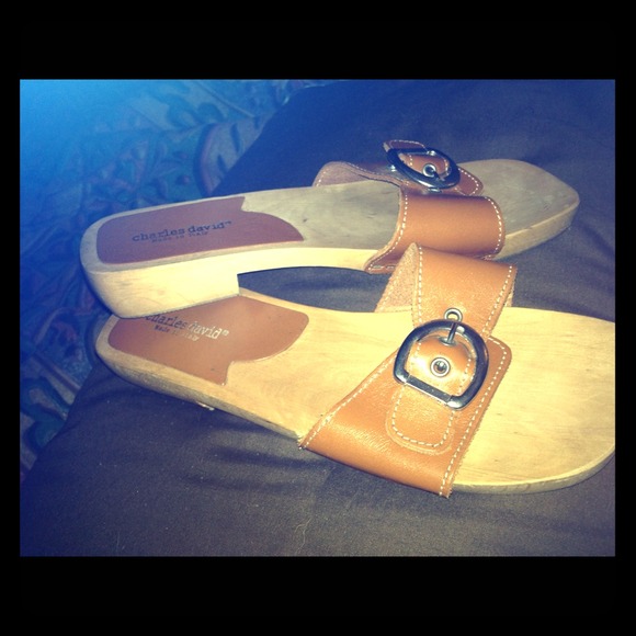 Charles David wood and leather sandal