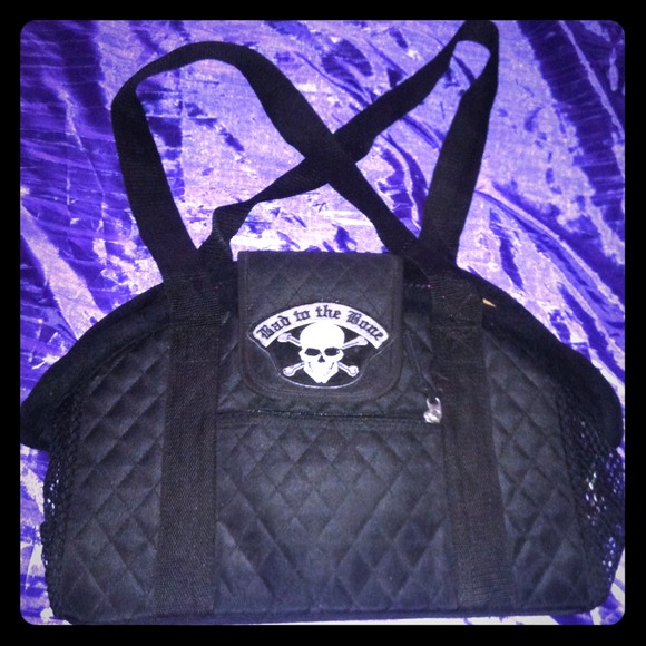 Bad the bone doggie bag! Super cute!