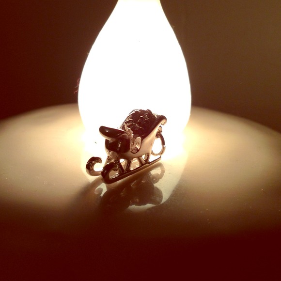 Winter sleigh charm