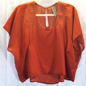 WallpapHER High-to-Low Sheer Crop