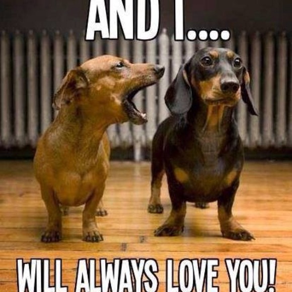 My closet policies - Picture 3 of 3