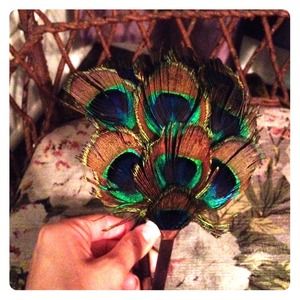 Pretty Peacock Feather Headband