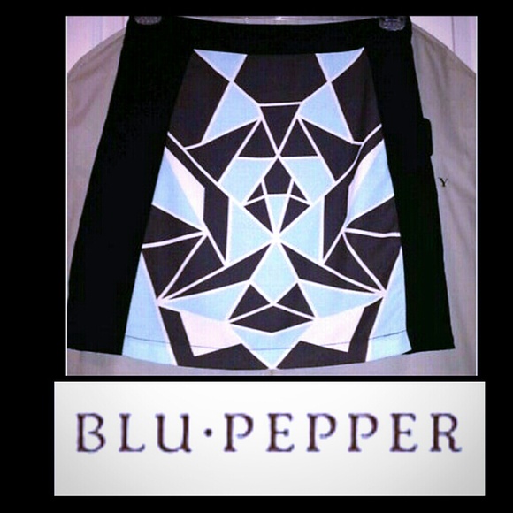 BLU PEPPER SKIRT SZ S FROM TRAVELING CHIC BOUTIQUE - Picture 2 of 4
