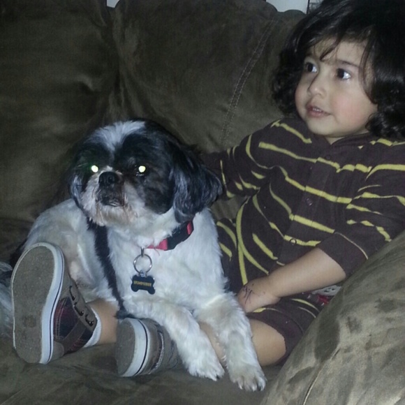 A little bit about me - Picture 3 of 4