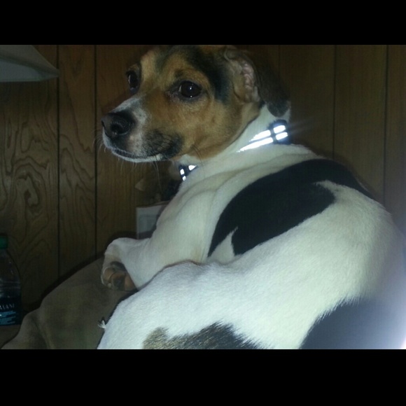 A little bit about me - Picture 4 of 4