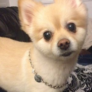 Tiffany & Co.oval charm necklace.