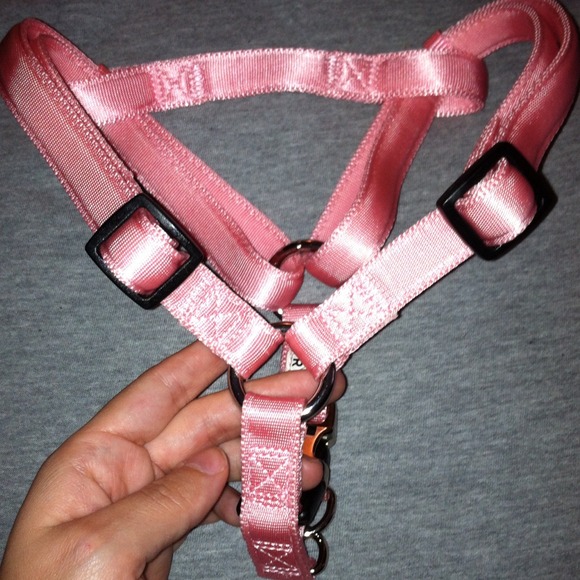 Pink pet harness. Size medium