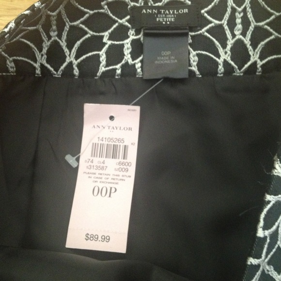 Beautiful 00P Ann Taylor Skirt - Picture 3 of 4
