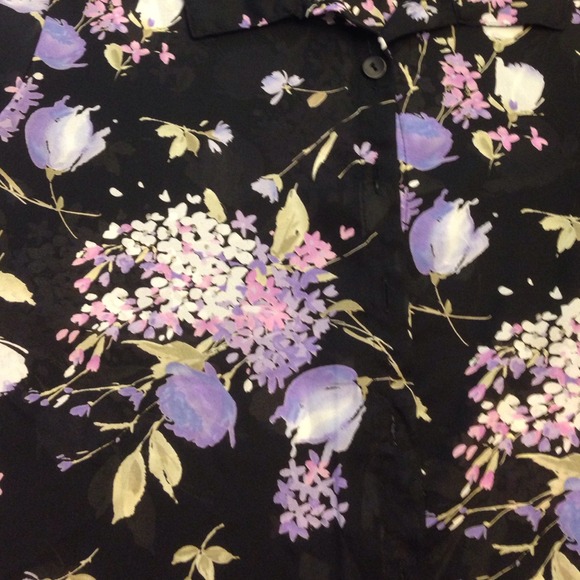 Beautiful sheer top - Picture 3 of 3