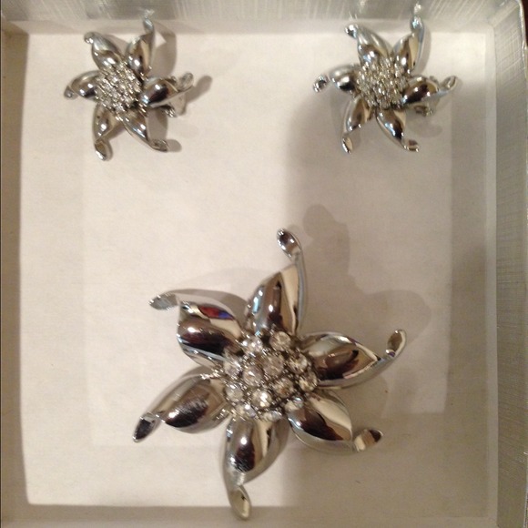Vintage gorgeous brooch with matching earrings.