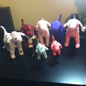 HELP a family of Pink Puppies needs a HOME!