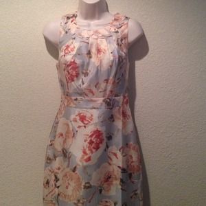 Beautiful J CREW dress - new with tags