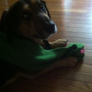 Cute Frog Scarf