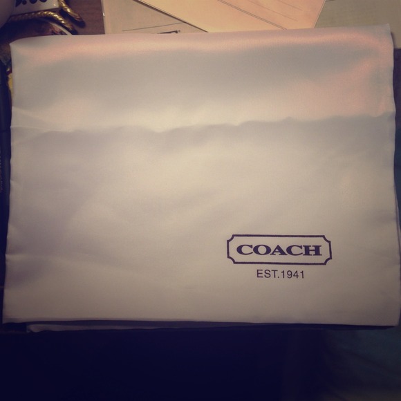 Large coach dust bag