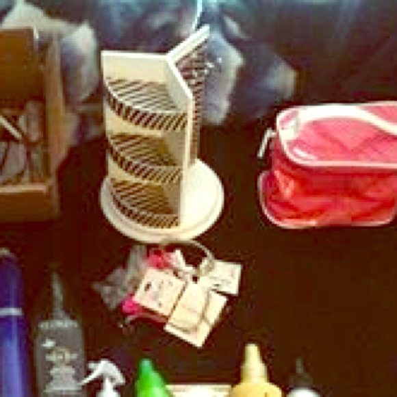 Zebra Print Jewelry Organizer