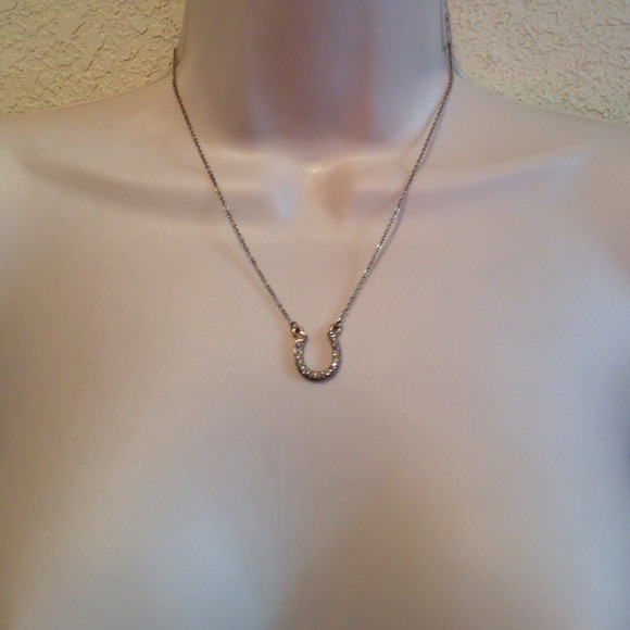 Horseshoe Necklace